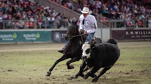 Farmer Dave performing at the Easter Show