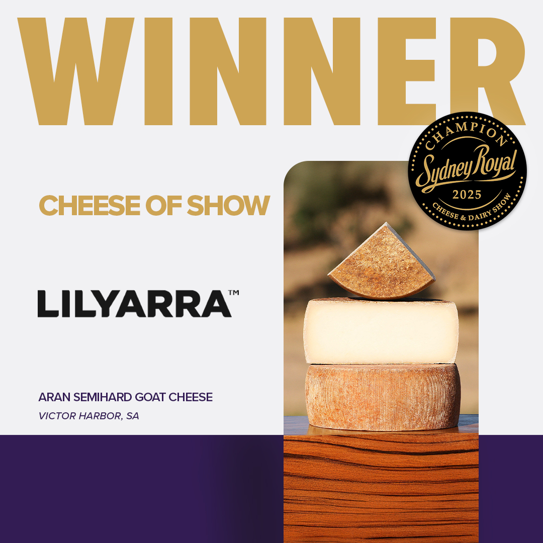 Three pieces of Lilyarra Aran Semihard Goat Cheese, awarded Champion Cheese of Show at Sydney Royal Cheese and Dairy Show.