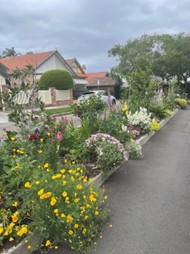 Colorful garden with blooming flowers and rich greenery by Lynette Allan & Amy Briton from Mosman, a finalist in the 2024 Sydney Royal Spring Garden Competition.