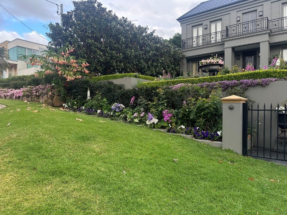 Beautiful floral display and well-manicured garden by Greg Walsh from Oatley, a finalist in the 2024 Sydney Royal Spring Garden Competition.