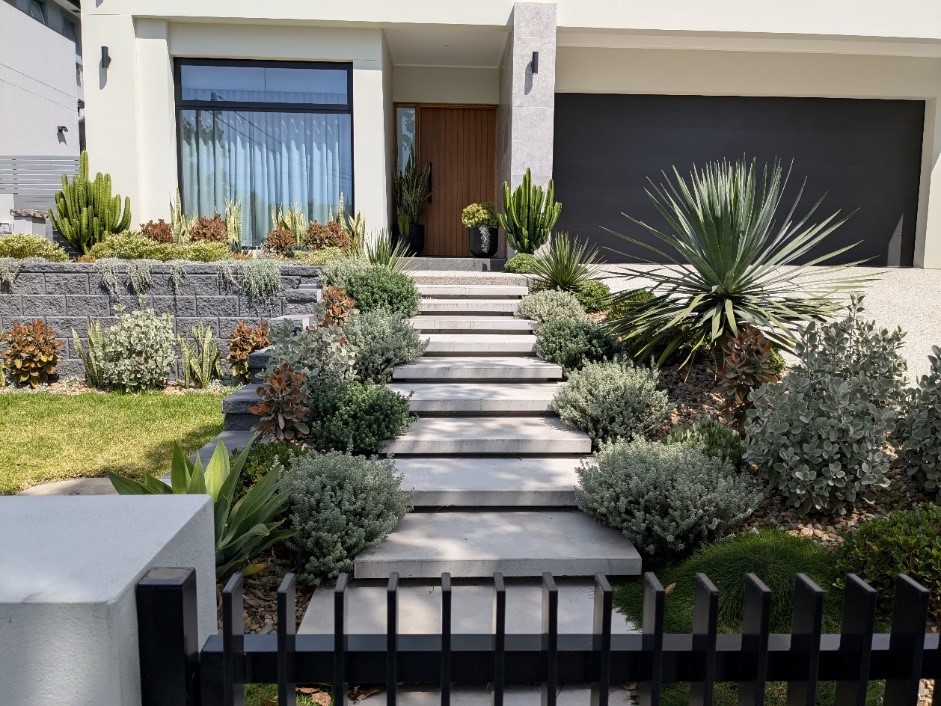 Lush, colorful garden with a variety of plants by George Stojanovski from Strathfield, a finalist in the 2024 Sydney Royal Spring Garden Competition.