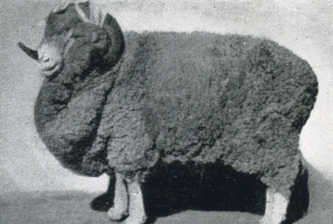 Sheep Champion Merino 1915 - Photo