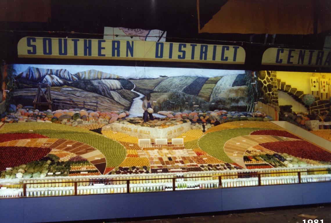 District Exhibit 1981 - Photo